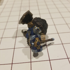 Picture of print of Tortle Holy Warrior Miniature - Pre-Supported