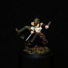 Picture of print of Rogue