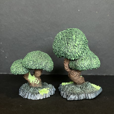 Picture of print of MAJESTIC ENCHANTED TREES