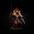 Janissaries - Lieutenant of the Imperial Force print image