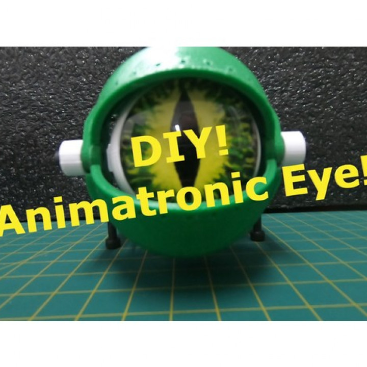 Animatronic Eye