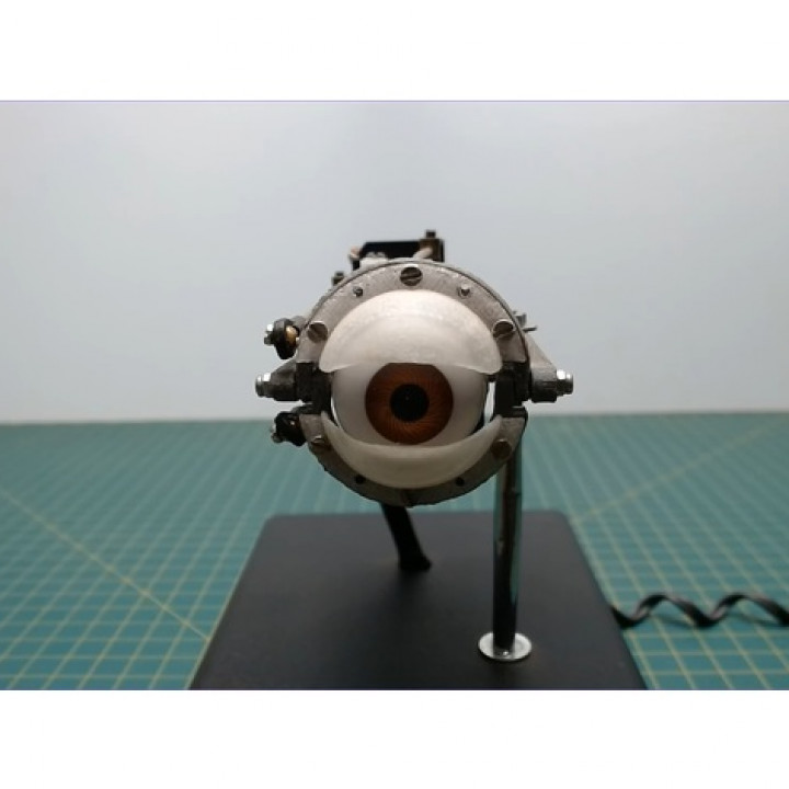 Human-sized animatronic eye!