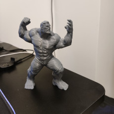 Picture of print of Hulk Support Free Remix