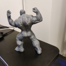 Picture of print of Hulk Support Free Remix