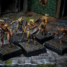 Picture of print of Soul Scavengers Melee Squad