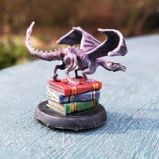Picture of print of Pseudodragon