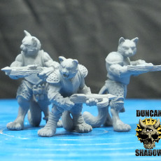 Picture of print of Cat Folk with Crossbows (pre supported)
