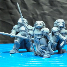 Picture of print of Lion Knights (pre supported) This print has been uploaded by Duncan Shadow