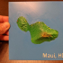 Maui Hawaii 3D topo relief map image