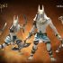 Anubis Warriors image