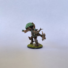 Picture of print of Toryden the Archdruid - Arverian Woodkeepers Hero
