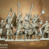 Sunland Imperial Troops - Highlands Miniatures image