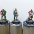 Sunland Imperial Troops - Highlands Miniatures print image
