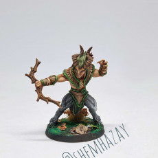 Picture of print of Arverian Woodkeeper - Modular B