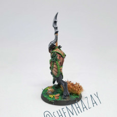Picture of print of Arverian Woodkeeper - Modular C