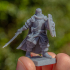 Sunland Imperial Hero - Highlands Miniatures image