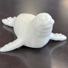 Picture of print of Seal This print has been uploaded by Philippe Barreaud