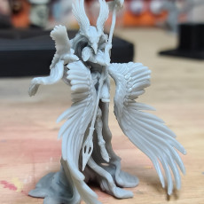 Picture of print of Vus - Spear Maiden to Morrigan - PRESUPPORTED - 32mm Scale - D&D