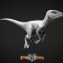 Velociraptor, Variation 1, Pose 1 Miniature - Pre-Supported image