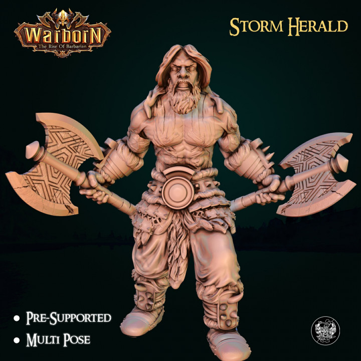 Storm Herald's Cover