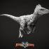 Velociraptor, Variation 2, Pose 1 Miniature - Pre-Supported image