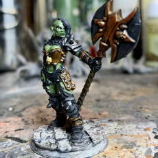 Picture of print of (0022) Female human elf tiefling half orc barbarian with two-handed axe