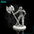 (0022) Female human elf tiefling half orc barbarian with two-handed axe image