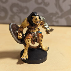Picture of print of Tabaxi gladiator