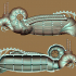 Nautilus image