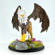 Picture of print of Hippogriff (pre-supported)