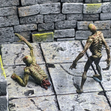 Picture of print of Zombies - Tabletop Miniature (Pre-Supported)