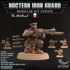 Picture of print of x37 - Noctern Iron Guard - Pre-Supported