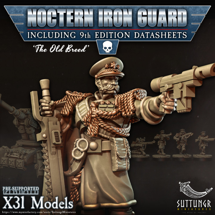 $25.00x31 - Noctern Iron Guard - Pre-Supported