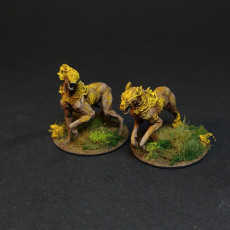 Picture of print of Infected Hounds - The Outbreak Collection