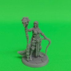 Picture of print of (0026) Female undead human elf tiefling tamer sorceress with whisk