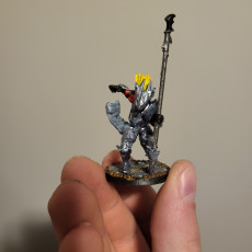 Picture of print of Kingdom of Talarius - Captain Abel (32mm scale presupported miniature)