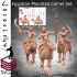 Egyptian Mounted Camel Set image