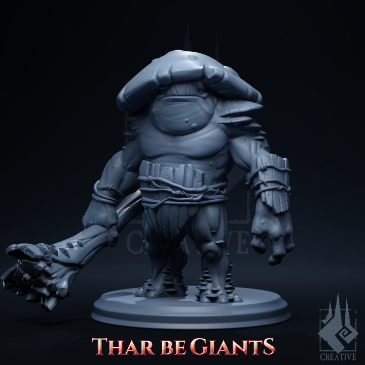 Toadstool Titan's Cover