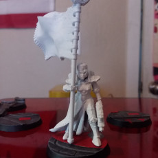 Picture of print of red sister warrior 4 support ready