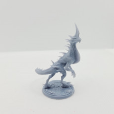 Picture of print of Raptor Hybrid ( 3 of 3 )