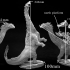Long Neck Dino (standing) image