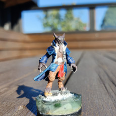 Picture of print of Male Werewolf Pirate (PRESUPPORTED)