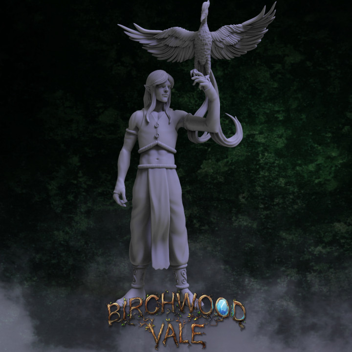 Birchwood Vale Heroes Edlenor's Cover