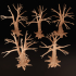 Witch Forest Trees image