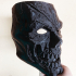 Zombie Iron Mask -  High Quality Details print image