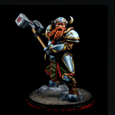 Picture of print of Dwarf - Bruhmmir - MASTERS OF DUNGEONS QUEST