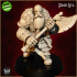 ''Dwarf Warrior" KICKSTARTER FREE Pre-supported Model image