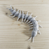 Flexible centipede caterpillar, centipede quickest print: 40 min, print-in-place image