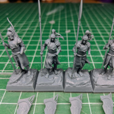 Picture of print of High elves citizen spears and sea guard unit