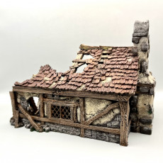 Picture of print of Ruined Cottage